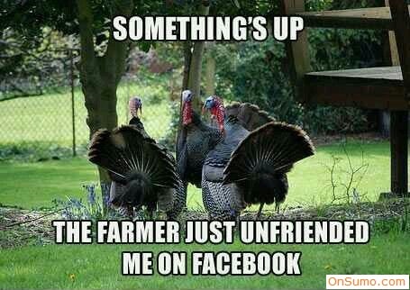 funny thanksgiving memes