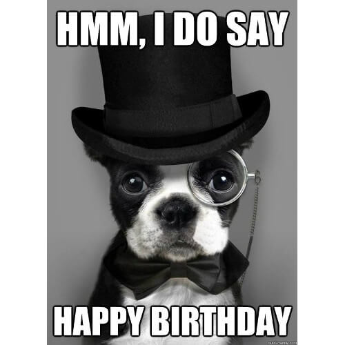 Happy birthday meme dog
