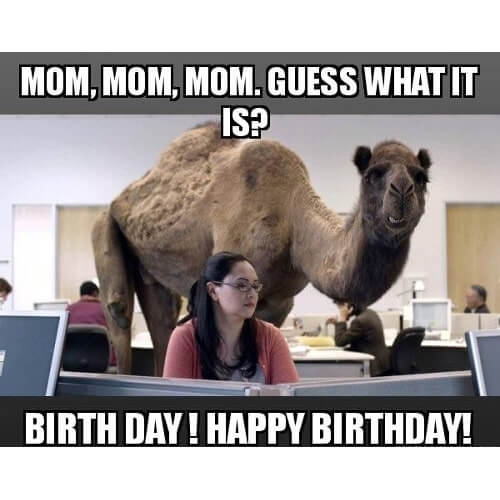 Happy birthday meme mom