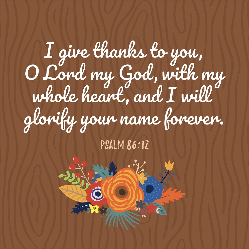 thanksgiving bible verses